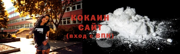 кокс Алексин