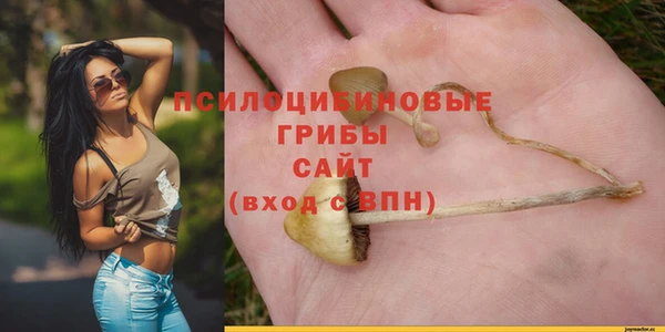кокс Алексин