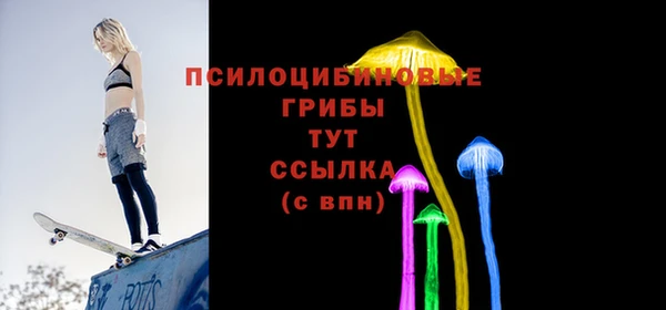 спайс Абаза