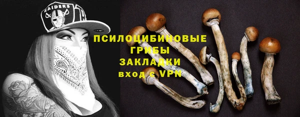 спайс Абаза