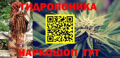 прущие крисы Беслан