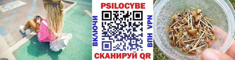 Галлюциногенные грибы Psilocybine cubensis  Боровичи 