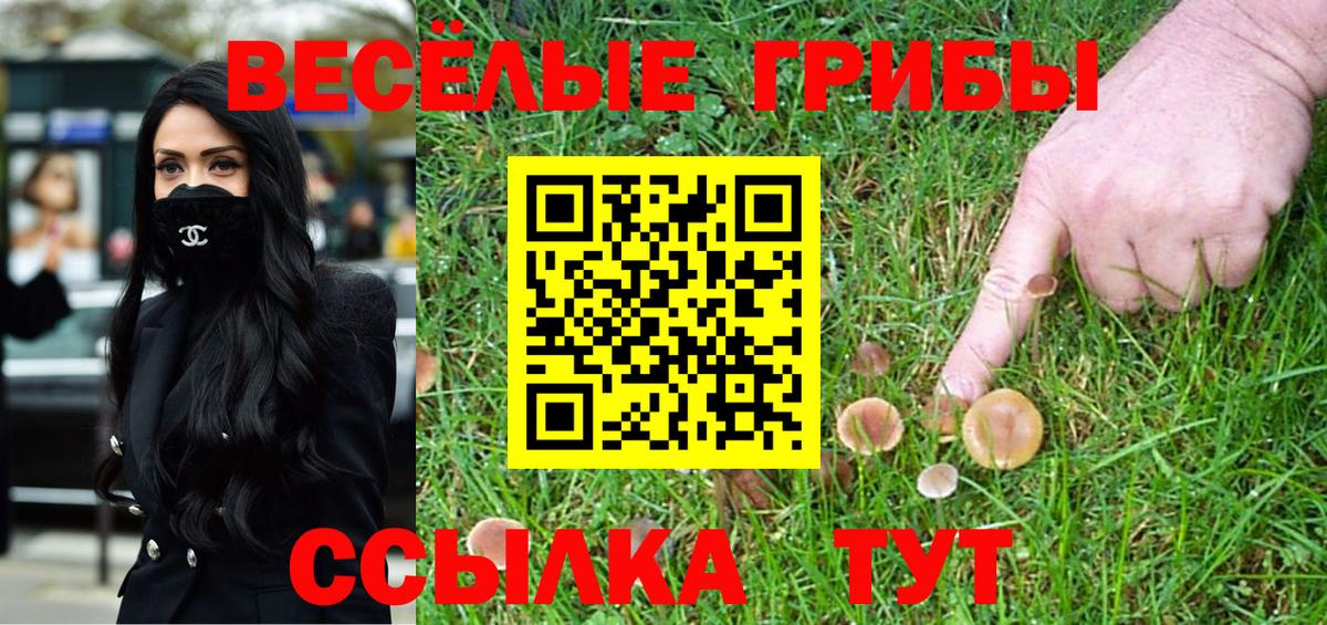 Псилоцибиновые грибы Psilocybine cubensis Боровичи
