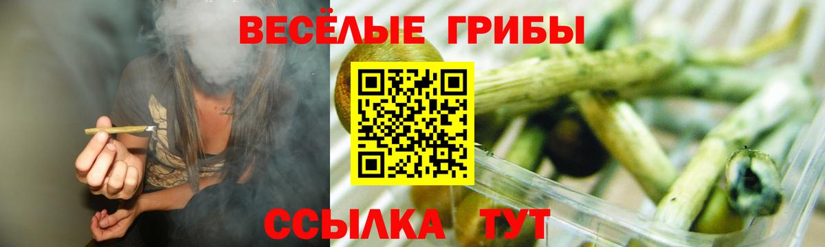 Боровичи  Галлюциногенные грибы Cubensis  Вход с VPN 