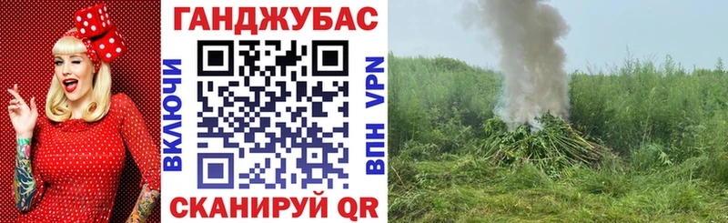маркетплейс формула  Боровичи  Канабис план  как найти закладки 